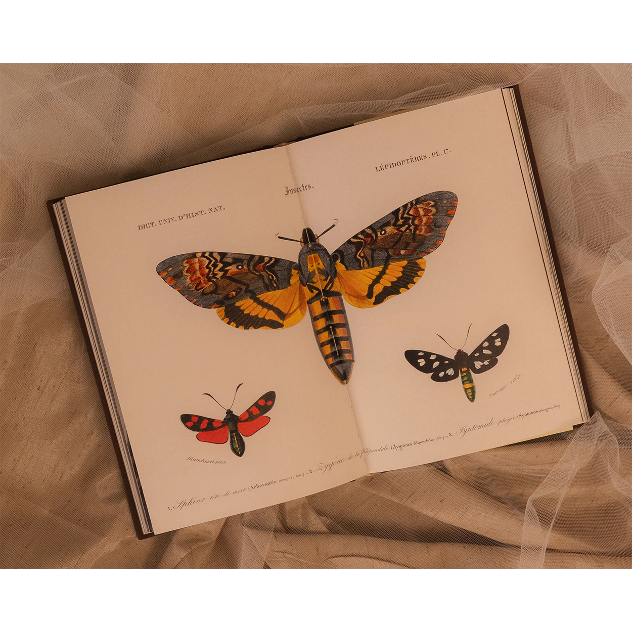 All My Demons Greeting Me as a Friend Book - Complete Bundle - Image 5