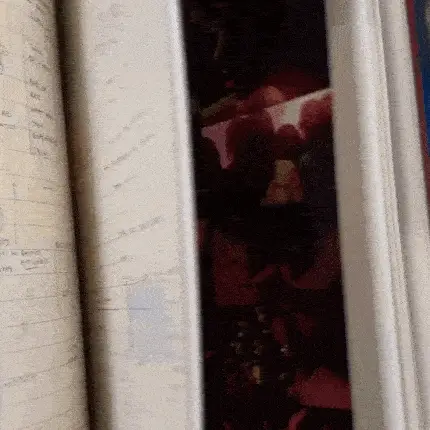 What Happened To The Heart? Book - Image 3